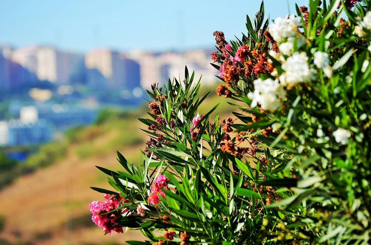 Hilltop Oasis Lisboa Oeiras Bagian luar foto